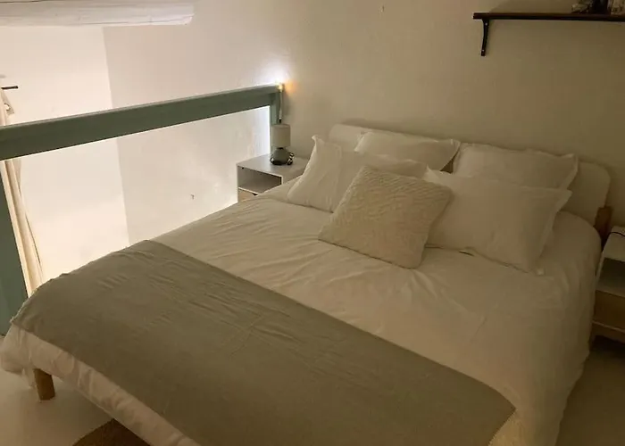 Beau Studio Duplex Plein Centre